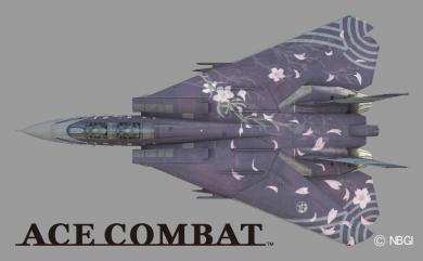 Cherry Blossom F-14D Tomcat 