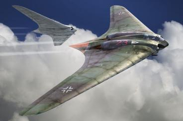 Horten Ho229 A 1/144 